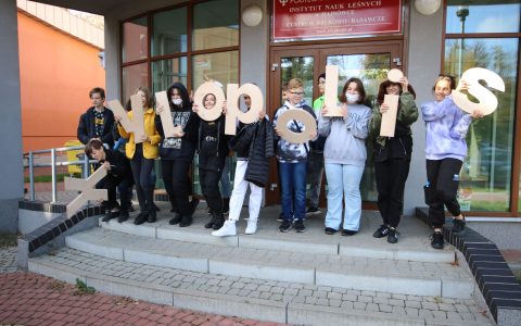 Warsztaty w ramach projektu Xylopolis "Apteka z lasu"; fot. Olga Kraszewska