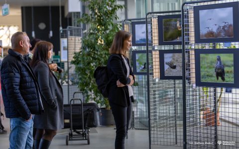 Wernisaż wystawy fotografii przyrodniczej Doroty Kyci i Bogusława Lebiedzińskiego „Odkrywanie Biebrzy II”