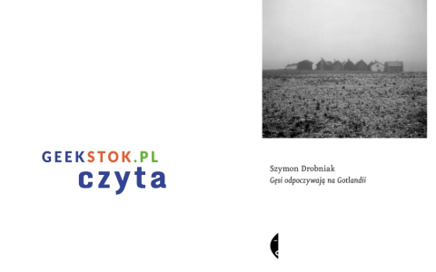 Szymon Drobniak – Gęsi odpoczywają na Gotlandii