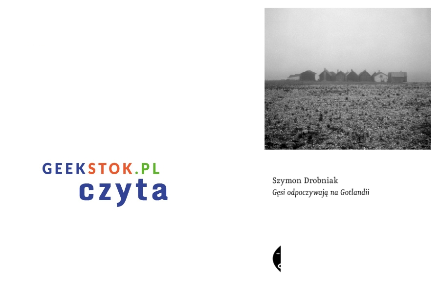 Szymon Drobniak – Gęsi odpoczywają na Gotlandii